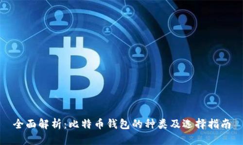全面解析：比特币钱包的种类及选择指南