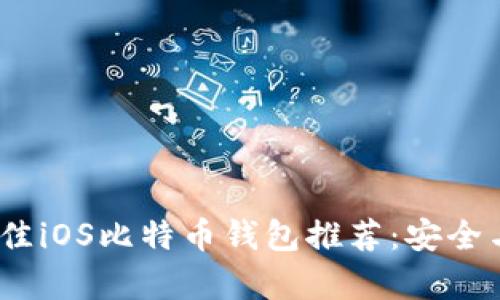 2023年最佳iOS比特币钱包推荐：安全与便捷并存