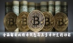 全面解析比特币钱包及其多币种支持功能