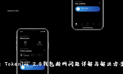: Tokenim 2.0钱包断网问题详解与解决方案