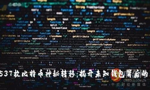 : 5537枚比特币神秘转移：揭开未知钱包背后的真相