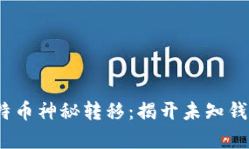 : 5537枚比特币神秘转移：揭开未知钱包背后的真相
