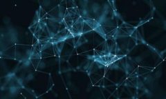 USDT可以放哪几种钱包？全面解析与实用指南