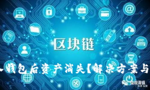  Tokenim导入钱包后资产消失？解决方案与注意事项详解