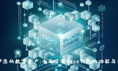 保护您的数字资产：全面了解Pepe钱包的功能与优
