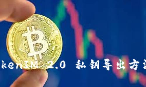 深入解析 TokenIM 2.0 私钥导出方法及其安全性