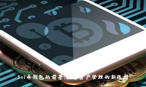 Sol币钱包的前景：数字资产管理的新选择