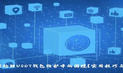  如何处理USDT钱包维护中的困境？实用技巧与建议