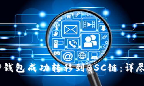 如何将USDT从TP钱包成功转移到BSC链：详尽指南和实用技巧