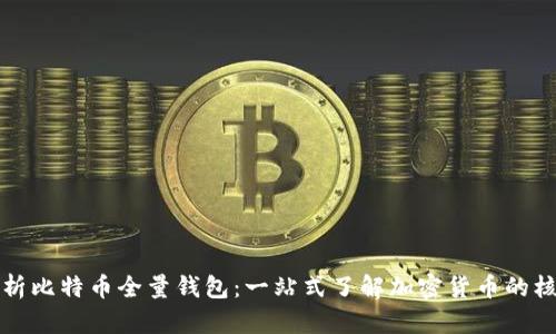 深入解析比特币全量钱包：一站式了解加密货币的核心工具