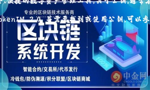 TokenIM 2.0 是 TokenIM 团队推出的一个去中心化的多链钱包和数字资产管理平台。它的设计目的在于为用户提供安全、便捷的数字资产管理工具。关于公钥，通常在区块链和加密货币领域，每个用户的钱包地址都是通过公钥生成的，但具体生成和使用方式可能因钱包的不同而有所区别。

在 TokenIM 2.0 中，用户的公钥通常是在创建钱包时生成的，用户可以在自己的钱包界面查看相关信息。如果你在使用 TokenIM 2.0 并需要找到或使用公钥，可以参考以下几点：

1. **查看钱包地址**：登录到 TokenIM 2.0，进入你的钱包界面，通常会有显示你的公钥或钱包地址的选项。
2. **安全性注意**：公钥是公开的，但请确保不要分享你的私钥，以免损失资产。
3. **查阅官方文档**：TokenIM 提供了用户手册和帮助文档，建议查阅以获取详细信息和操作指导。

如果你对 TokenIM 2.0 的公钥有更具体的问题，建议查阅官方支持或社区论坛以获取更多信息。
