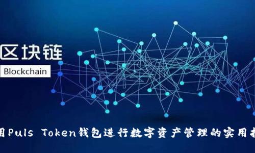 使用Puls Token钱包进行数字资产管理的实用指南