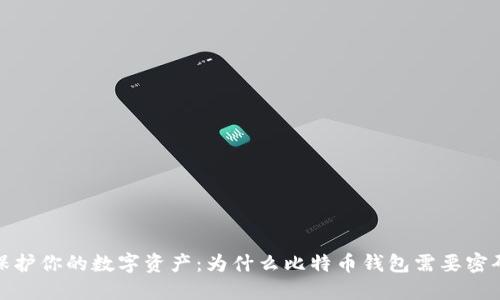 保护你的数字资产：为什么比特币钱包需要密码