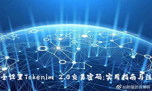 如何安全设置Tokenim 2.0交易密码：实用指南与注意事项