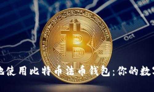 如何安全高效地使用比特币法币钱包：你的数字资产保护指南