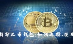 全面解析比特分叉币钱包