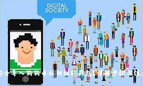 如何安全导入狗狗币私钥到轻钱包？详解步骤与注意事项