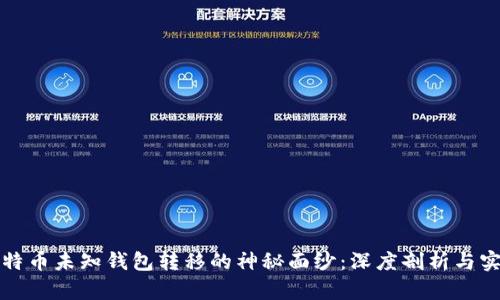 揭开比特币未知钱包转移的神秘面纱：深度剖析与实用指南