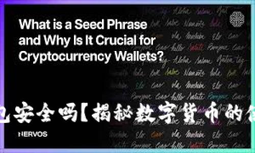 比特币手机钱包安全吗？揭秘数字货币的使用技巧与风险