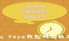   探索Patrizia Pepe钱包的价