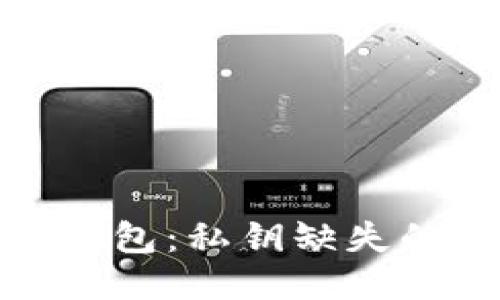 TP钱包与比特币钱包:私钥缺失的隐忧与应对策略