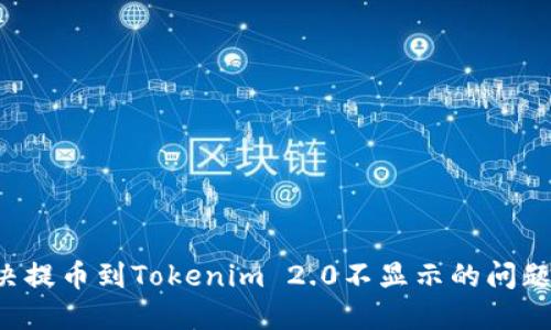 : 如何解决提币到Tokenim 2.0不显示的问题：全面指南