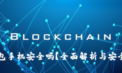 比特币钱包手机安全吗？全面解析与安全防护指南