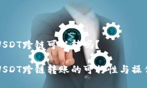 钱包USDT跨链可以转吗？

钱包USDT跨链转账的可行性与操作指南