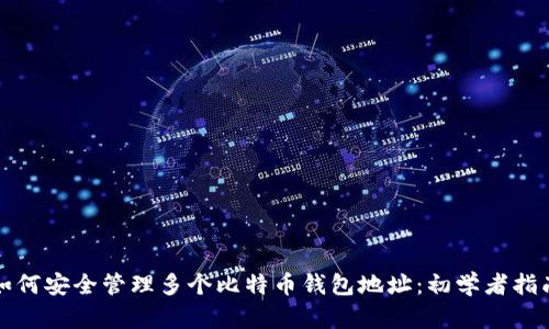 如何安全管理多个比特币钱包地址：初学者指南