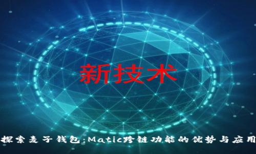 探索麦子钱包：Matic跨链功能的优势与应用
