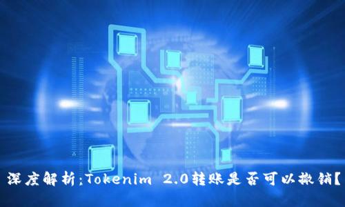 深度解析：Tokenim 2.0转账是否可以撤销？