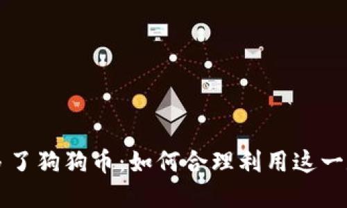 钱包里多了狗狗币：如何合理利用这一数字资产