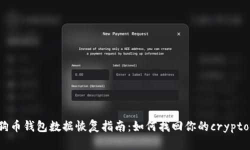  狗狗币钱包数据恢复指南：如何找回你的crypto资产